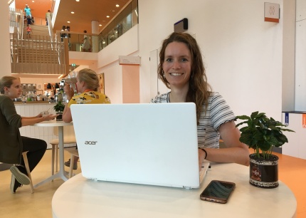 Post social media Loes