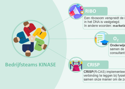Visual Bedrijfsteams
